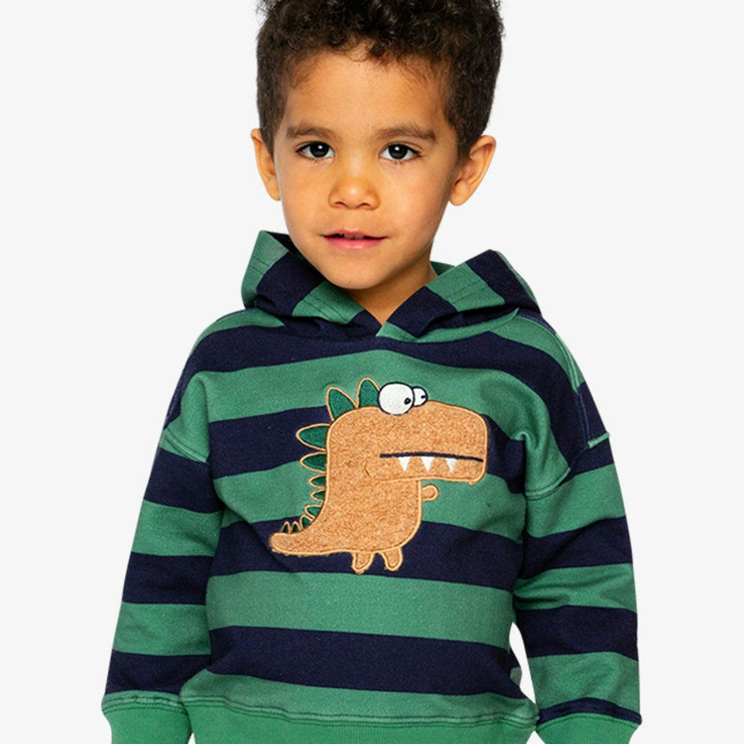 Baby Fleece Hoodie with Appliqué Blue Striped Green