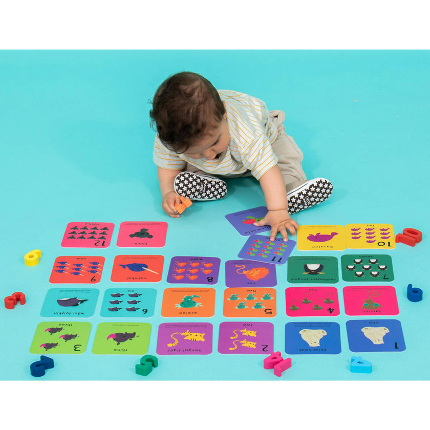What's The Number? Number Flashcards