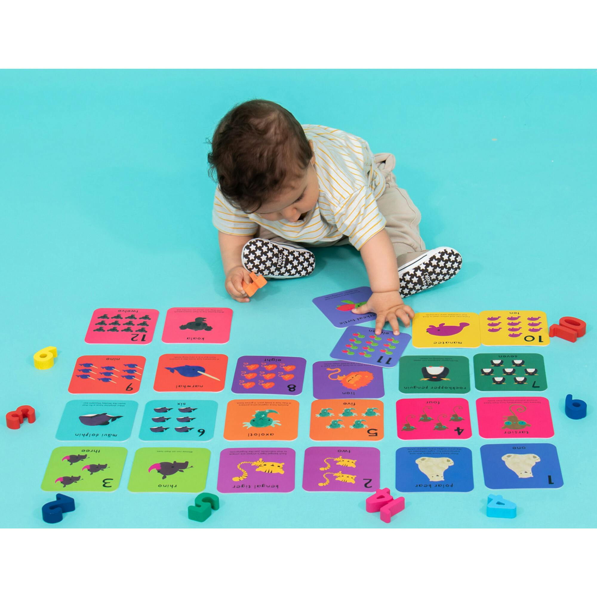 What's The Number? Number Flashcards