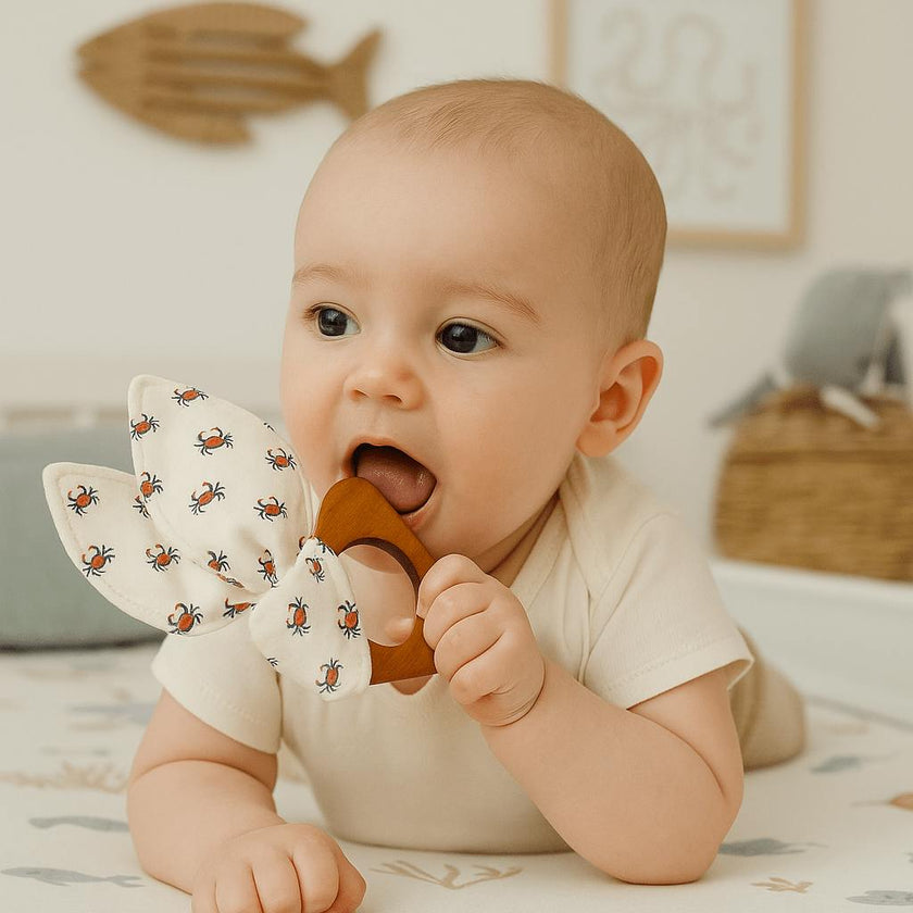 teething ears | crab