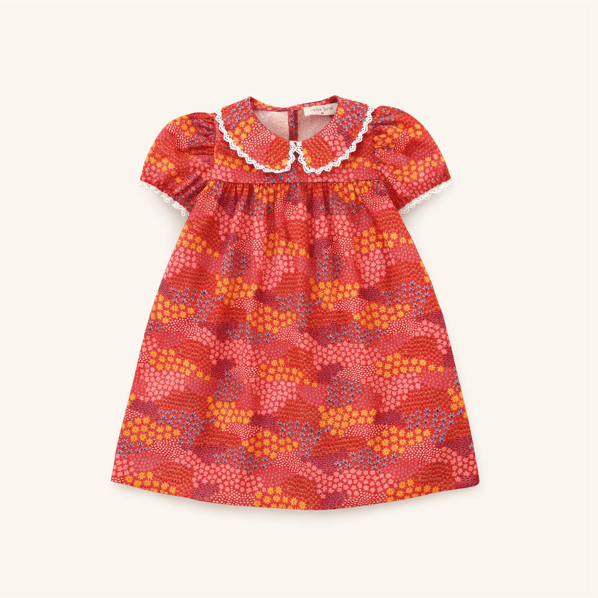 Lace Trim Dress in Red Floral
