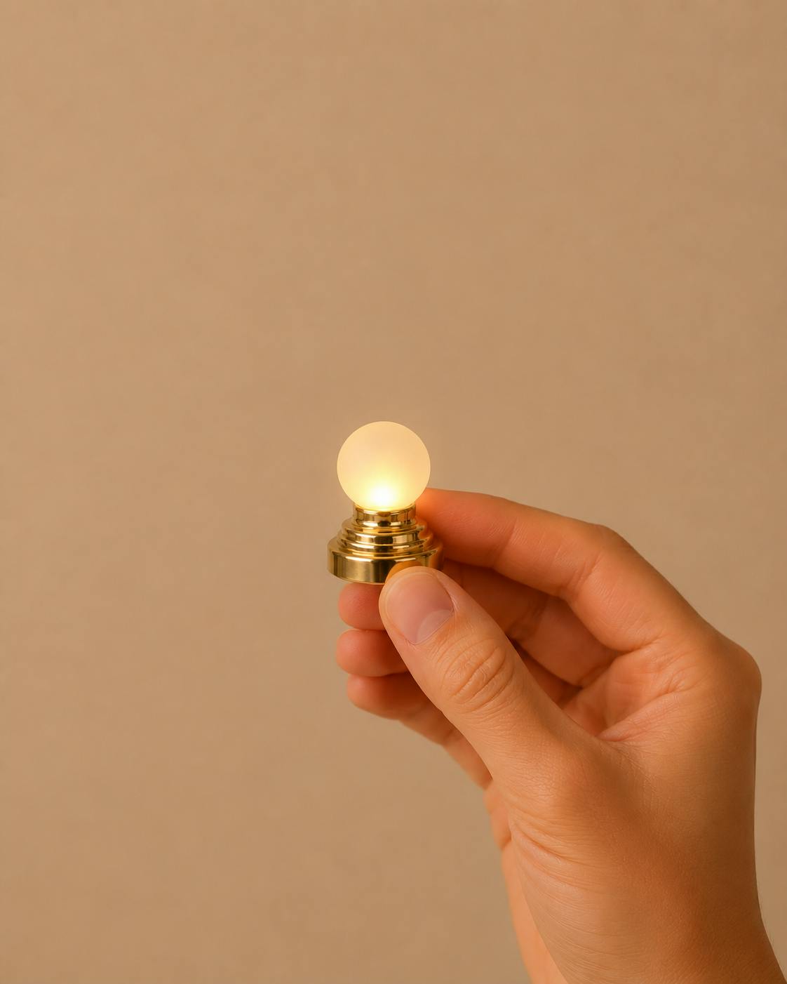 Little Forest Animals · Premium Lighting — Collection