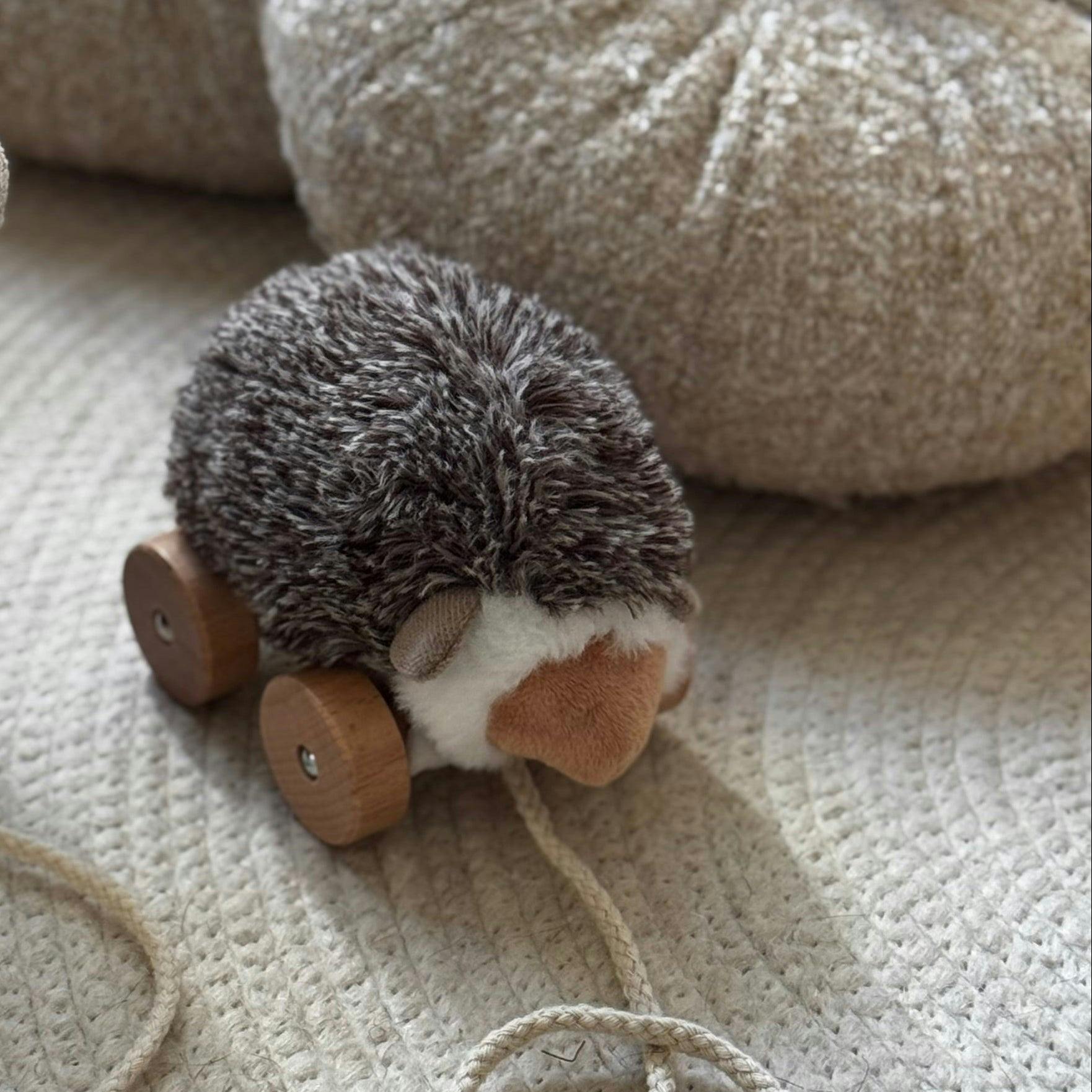 Hedgie