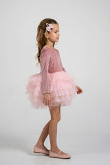 Pink Velvet Tutu Dress