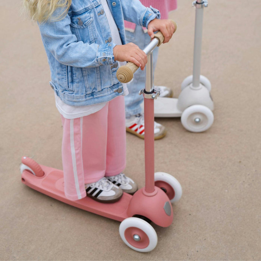BANWOOD ECO SCOOTER - RASPBERRY