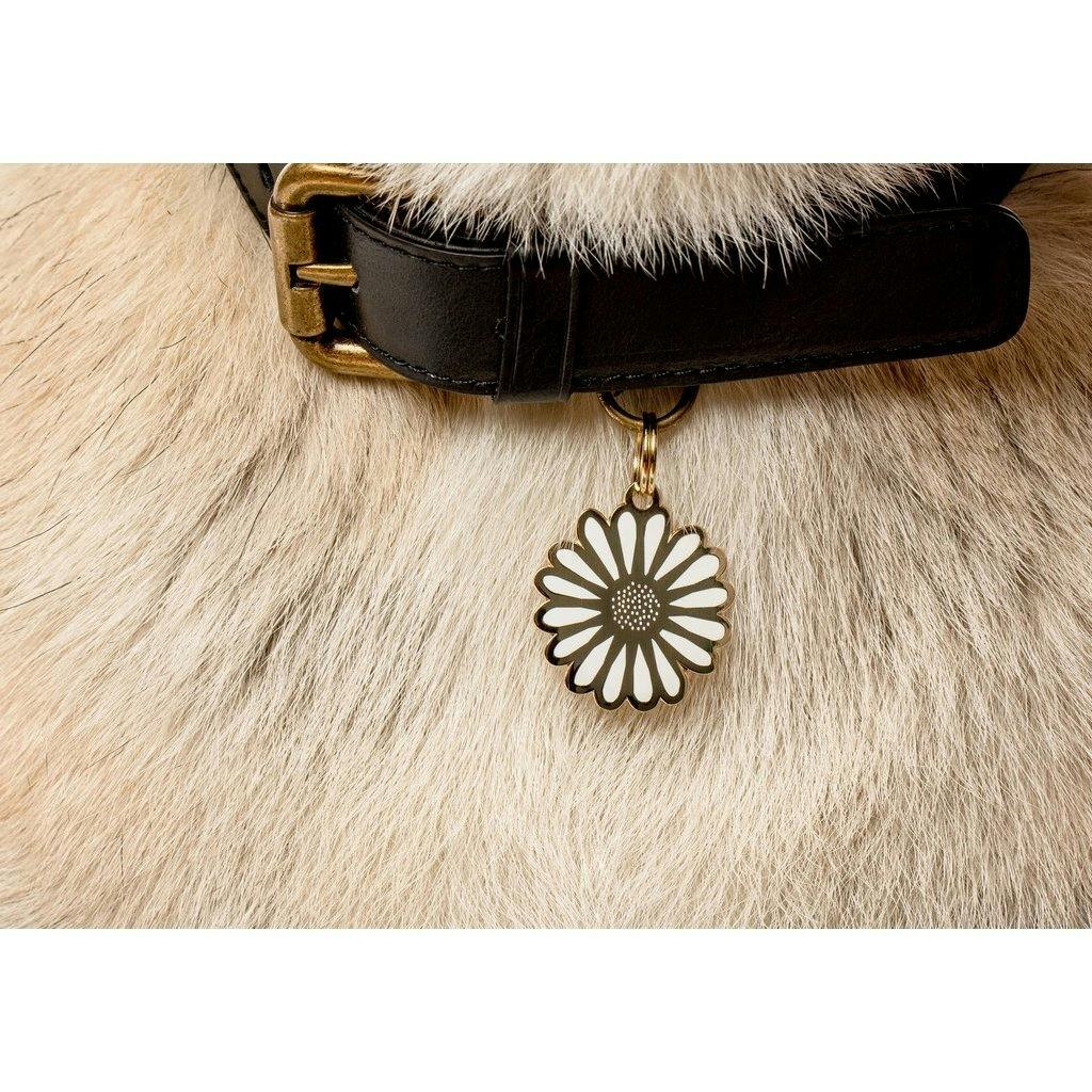 Daisy Pet ID Tag