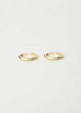 Hammered Gold Hoops