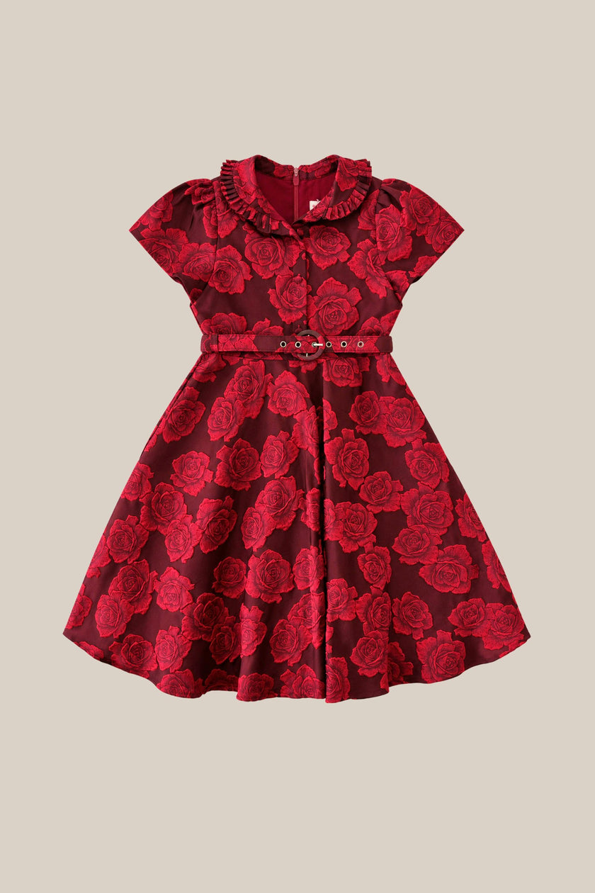 Mini Remi Dress in Vibrant Rose