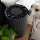 True-HEPA Tower Air Purifier with Air Quality Indicator and Child Lock, Up To 500 Sq Ft