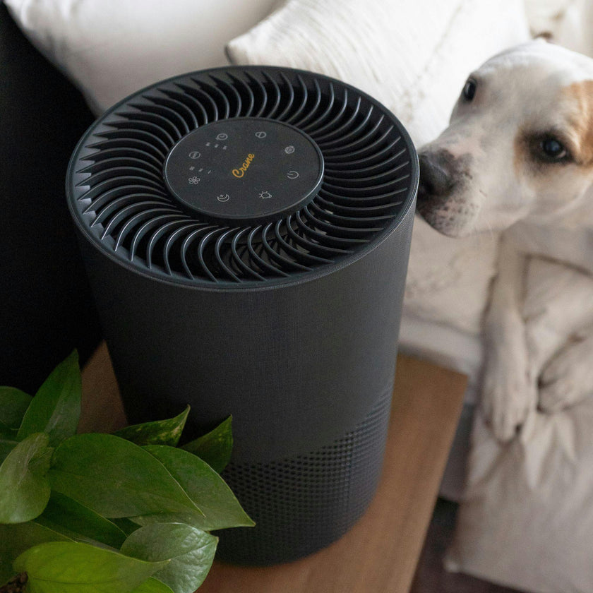 True-HEPA Tower Air Purifier with Air Quality Indicator and Child Lock, Up To 500 Sq Ft