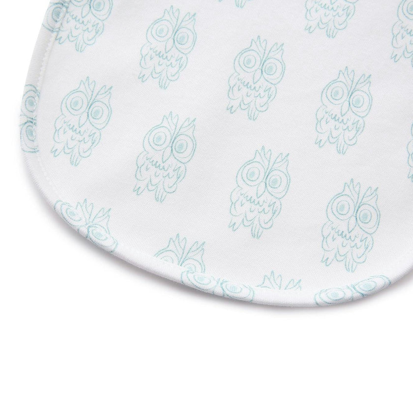 Bib 2-Pack - Petite Chouette Green