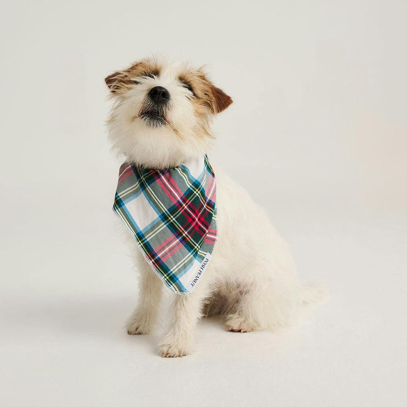 Portia Plaid Dog Bandana