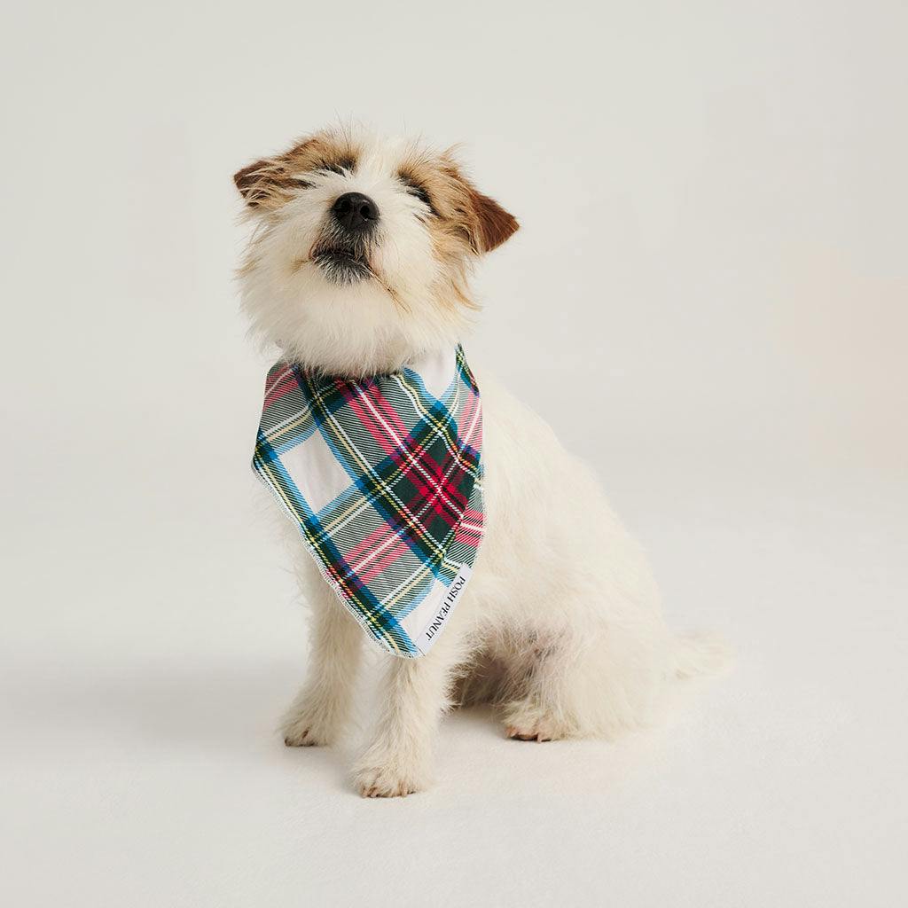 Portia Plaid Dog Bandana