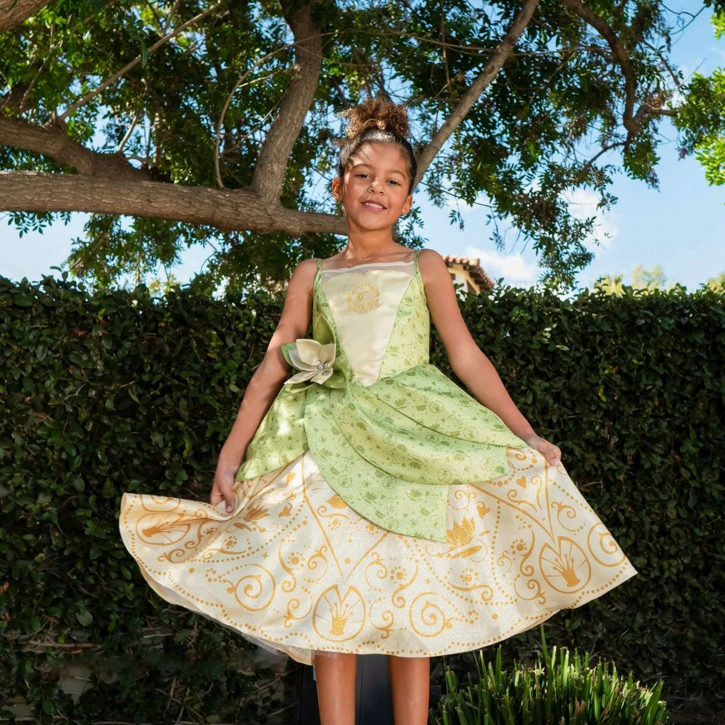 Disney Princess Tiana Washable Dress Up