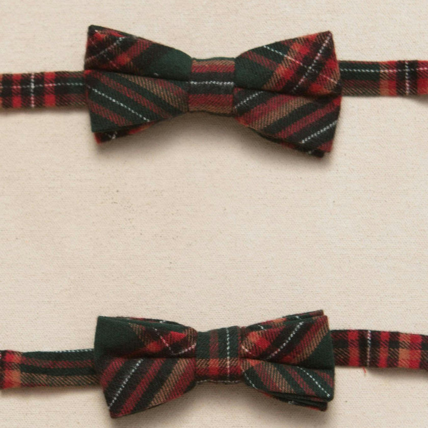 Ties in Evergreen Plaid
