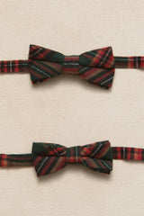 Ties in Evergreen Plaid