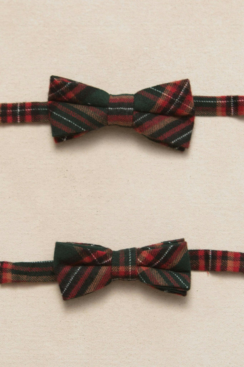 Ties in Evergreen Plaid