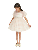 Ivory Pink Accented Tulle Fontana Dress