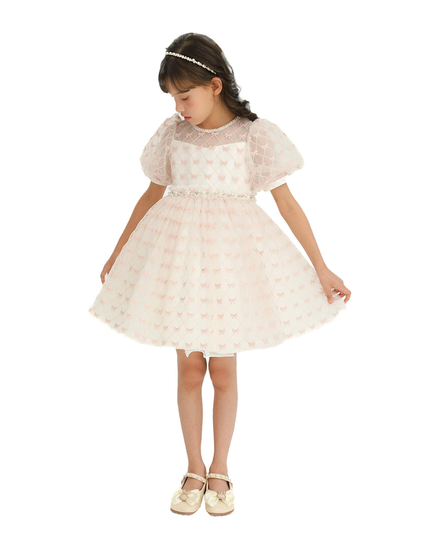 Ivory Pink Accented Tulle Fontana Dress
