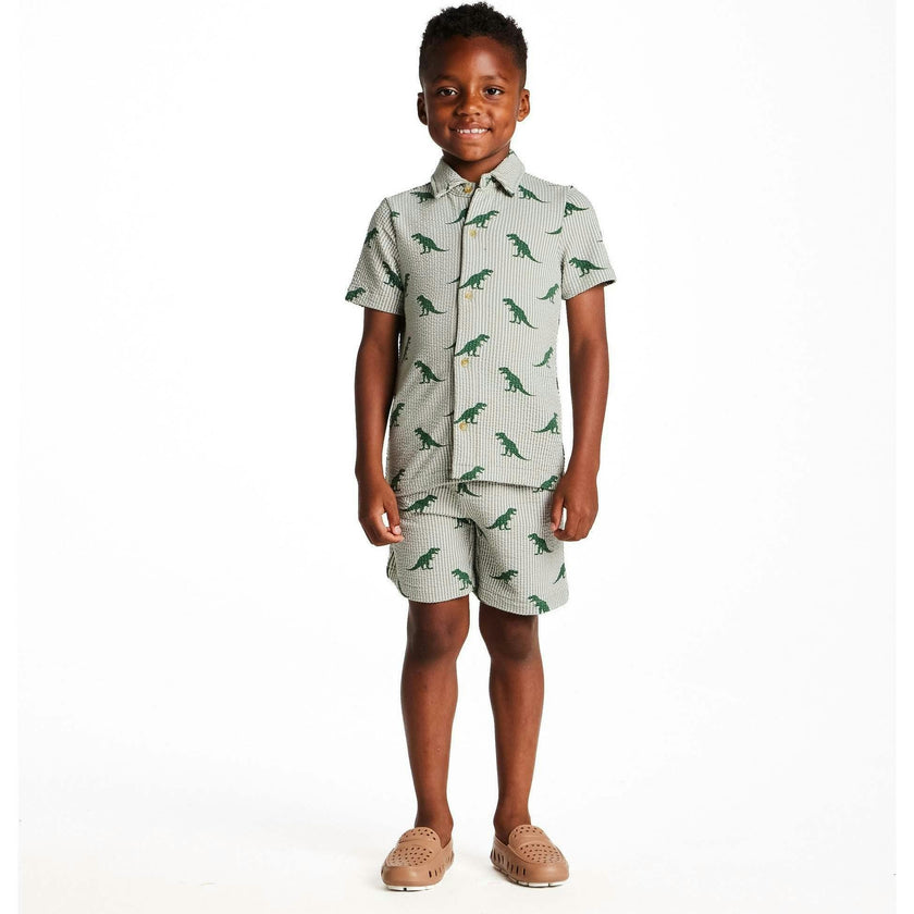 Boys Short Sleeve Cabana Set | Green Stripe Dino