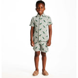 Boys Short Sleeve Cabana Set | Green Stripe Dino