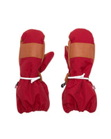 Adult Waterproof Ski Mitten