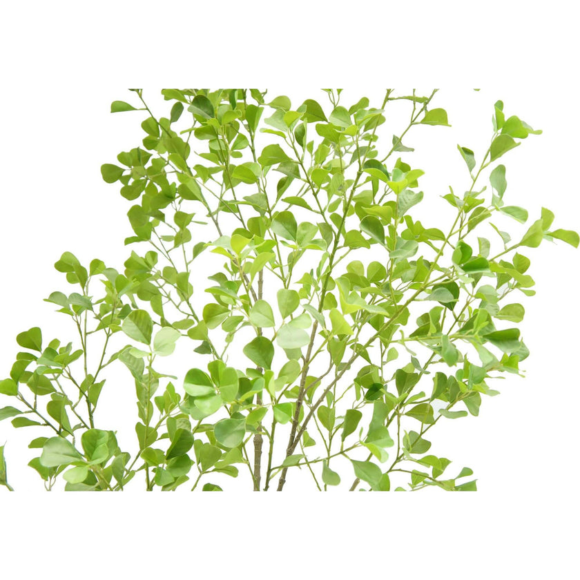 7' Artificial Heart Ficus Tree