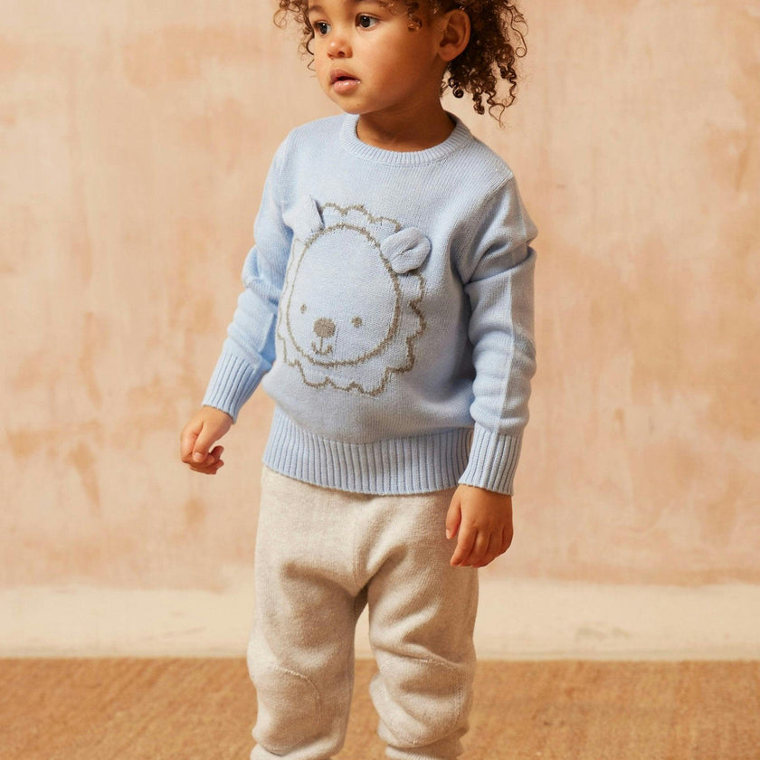 Baby Lion Jumper | Sky