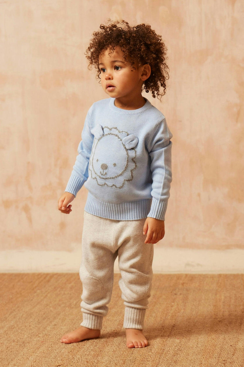 Baby Lion Jumper | Sky