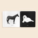 Baby's Black and White Contrast Book