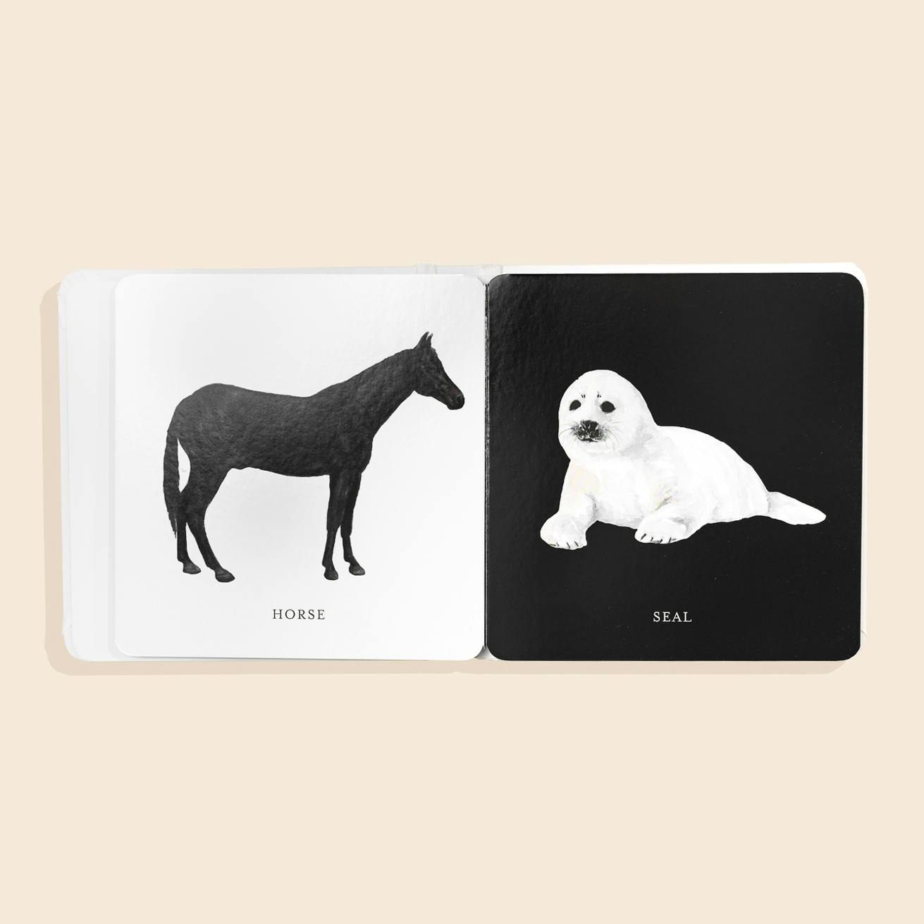 Baby's Black and White Contrast Book