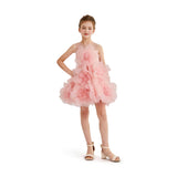 Rose Briellea Embellished Sleeveless Dress
