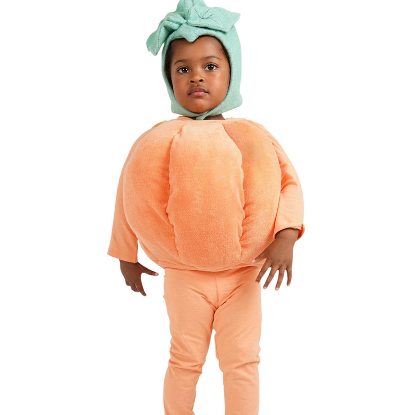 Pumpkin Patch Costume