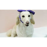 PURPLE SPIDER WEB HEADBAND, Purple