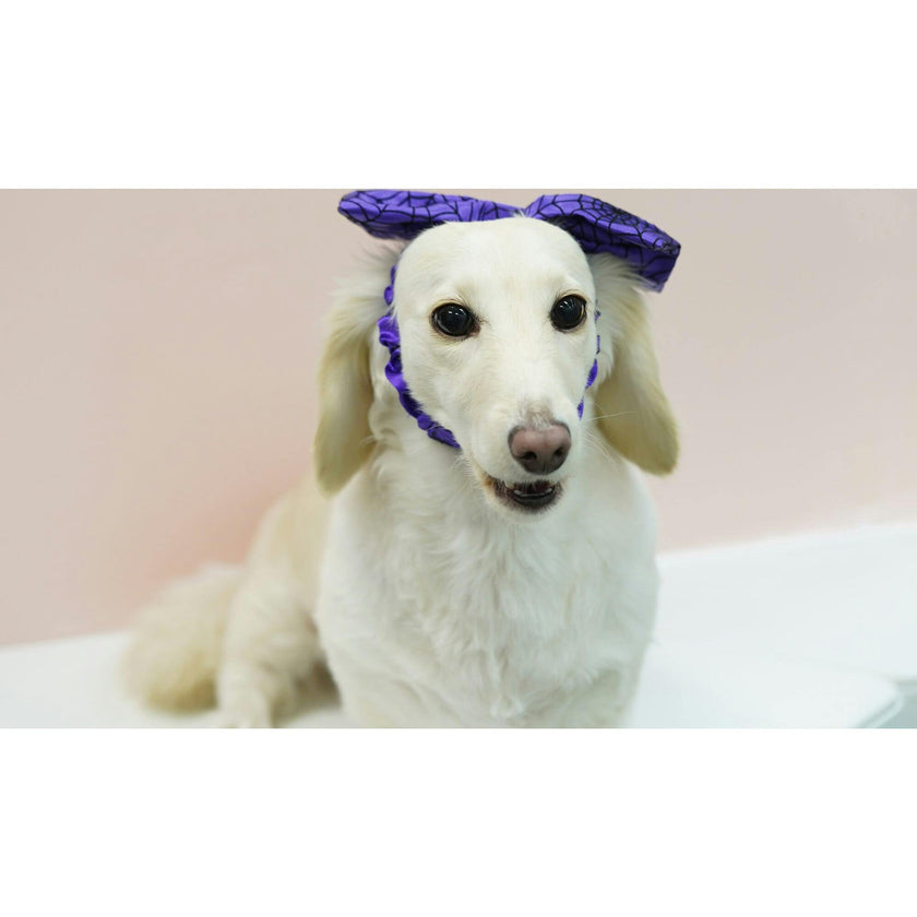 PURPLE SPIDER WEB HEADBAND, Purple