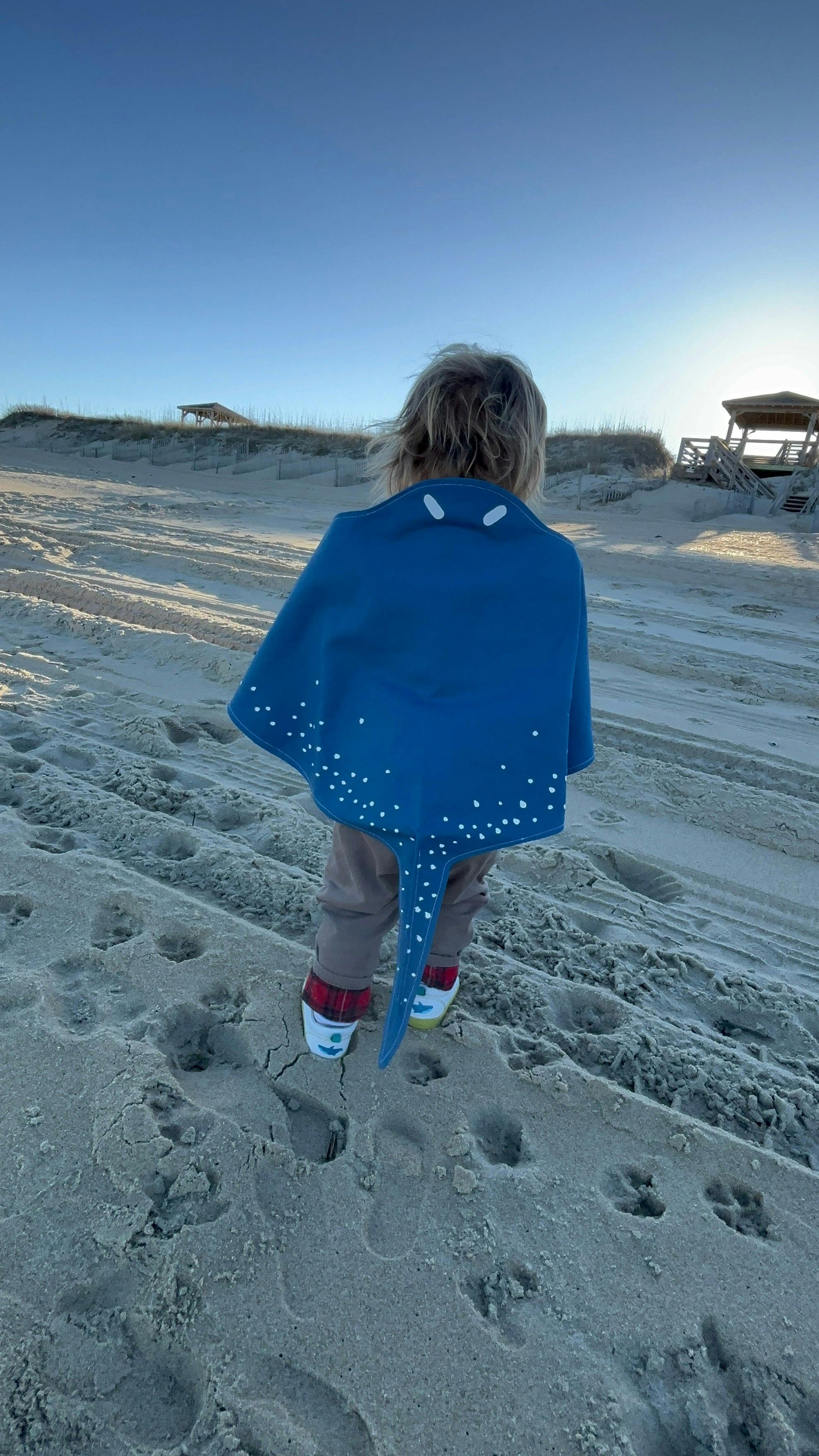 Stingray Costume Wings