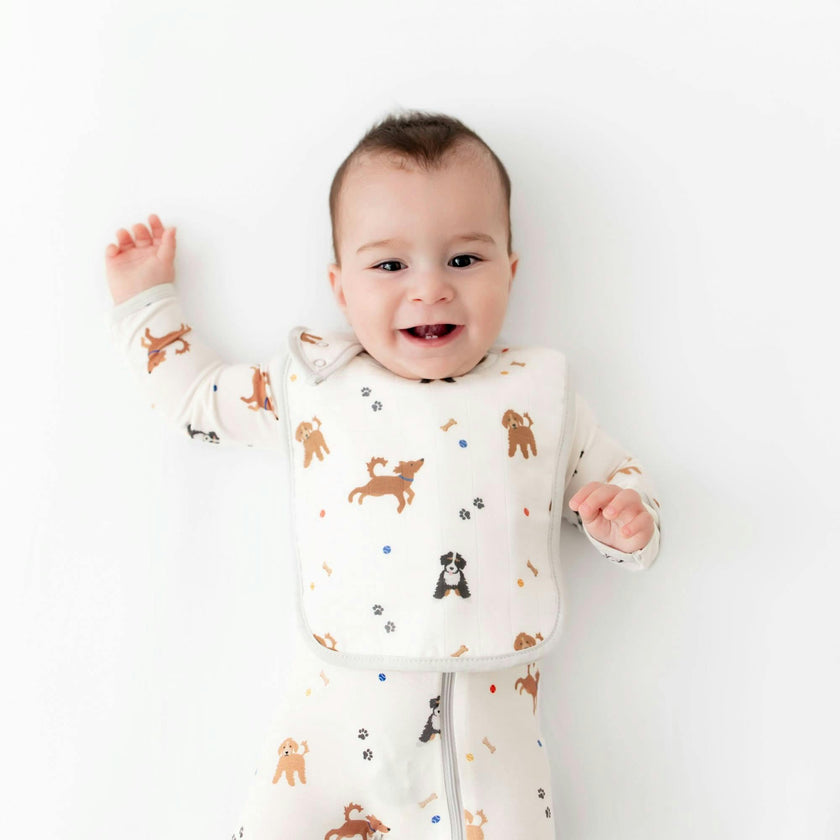 Bib Set