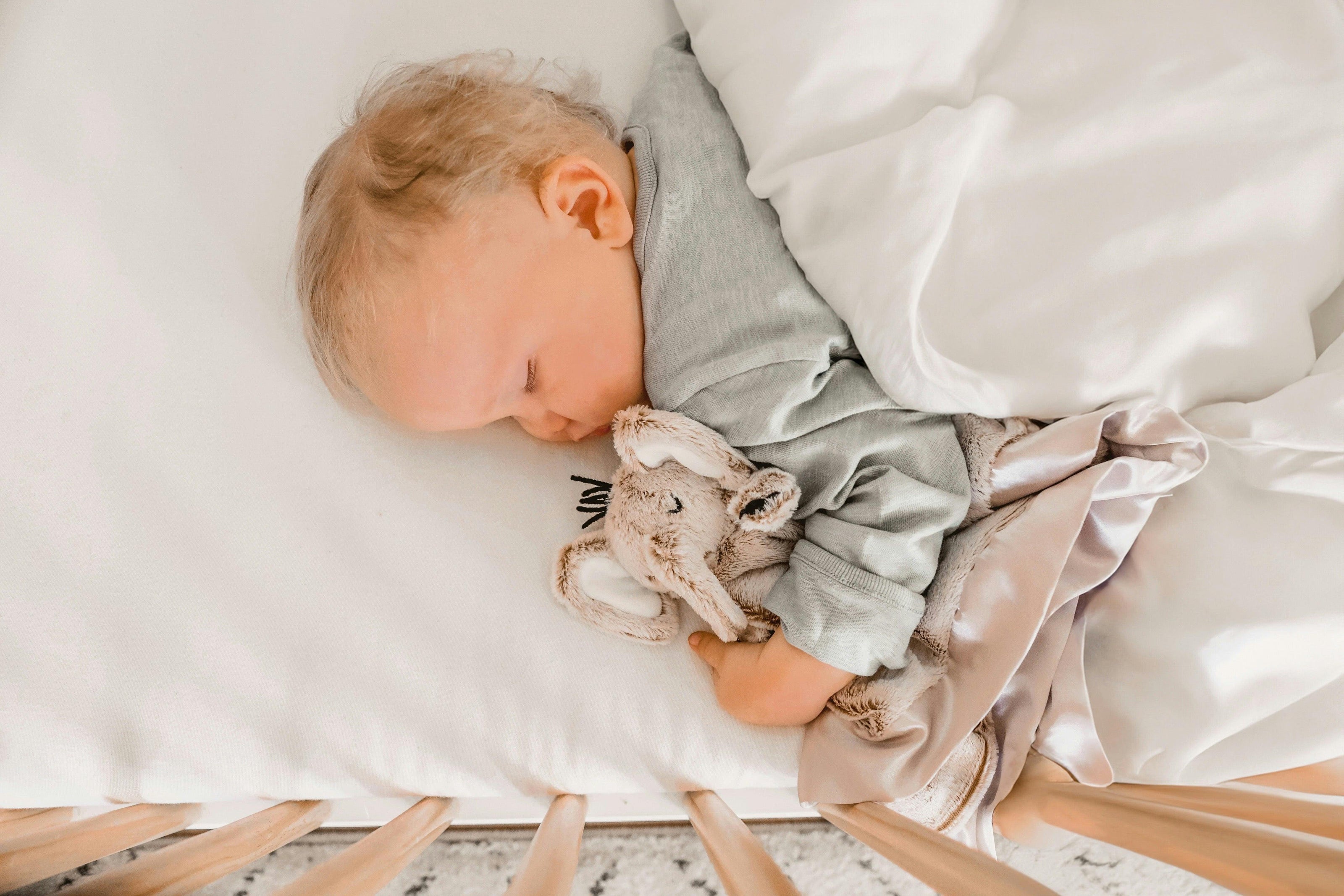 Little Animal Lover Lovey Blanket