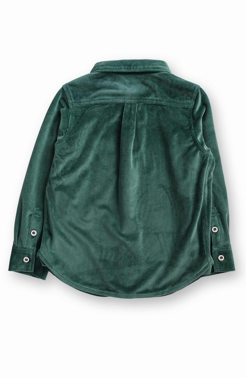 Pine Jacob Buttondown Shirt