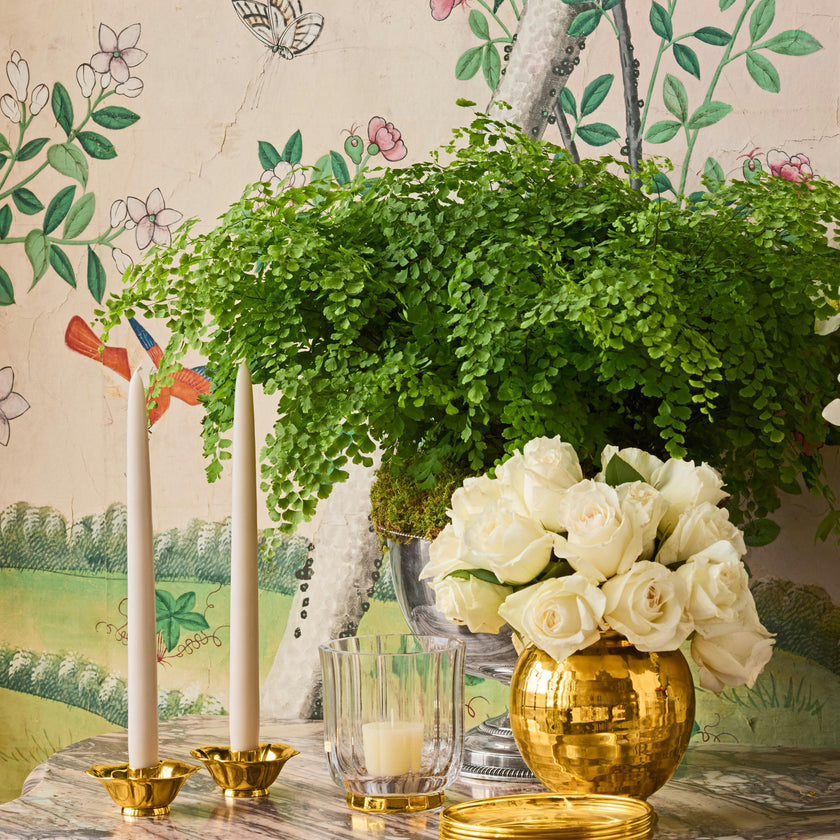 Olivia Taper Candleholders S/2