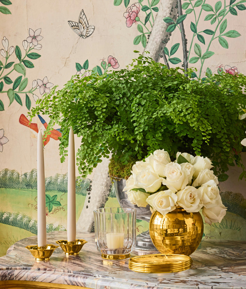Olivia Taper Candleholders S/2