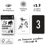 Counting Adventure Bundle
