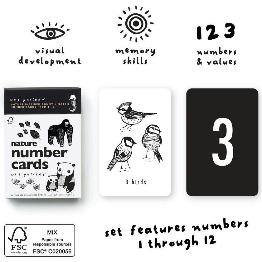 Counting Adventure Bundle