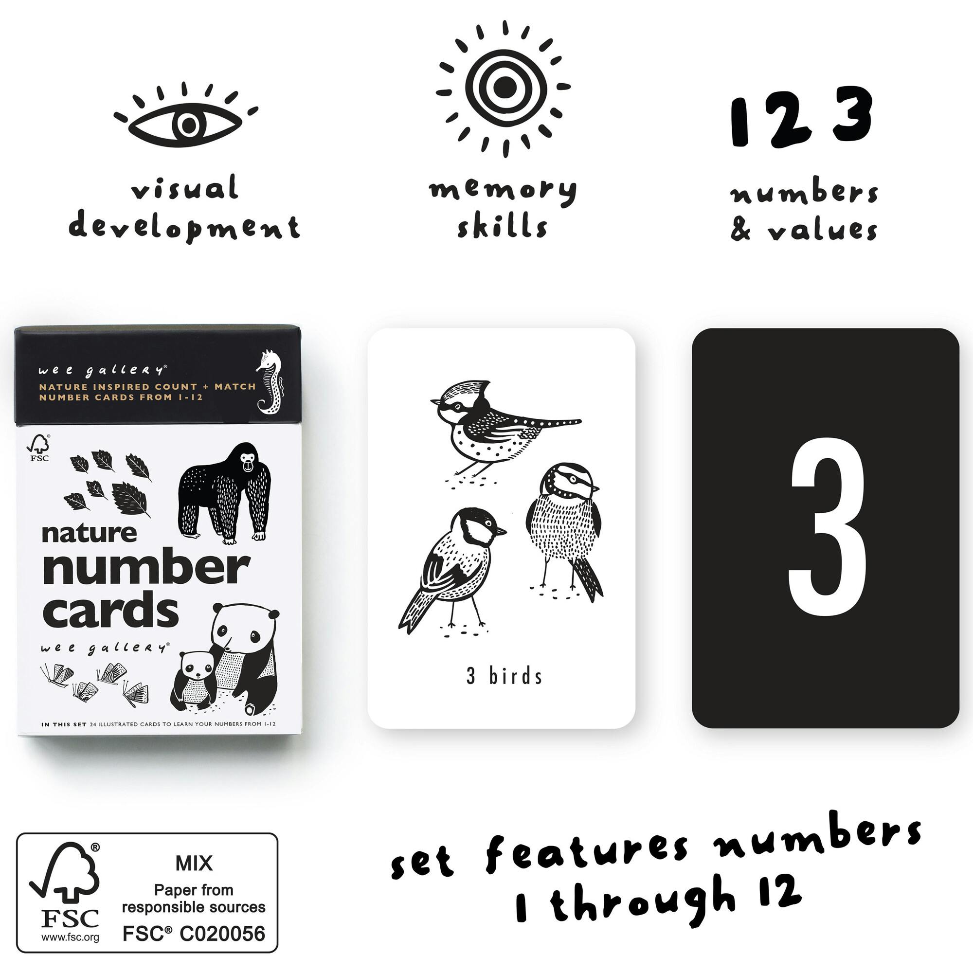 Counting Adventure Bundle