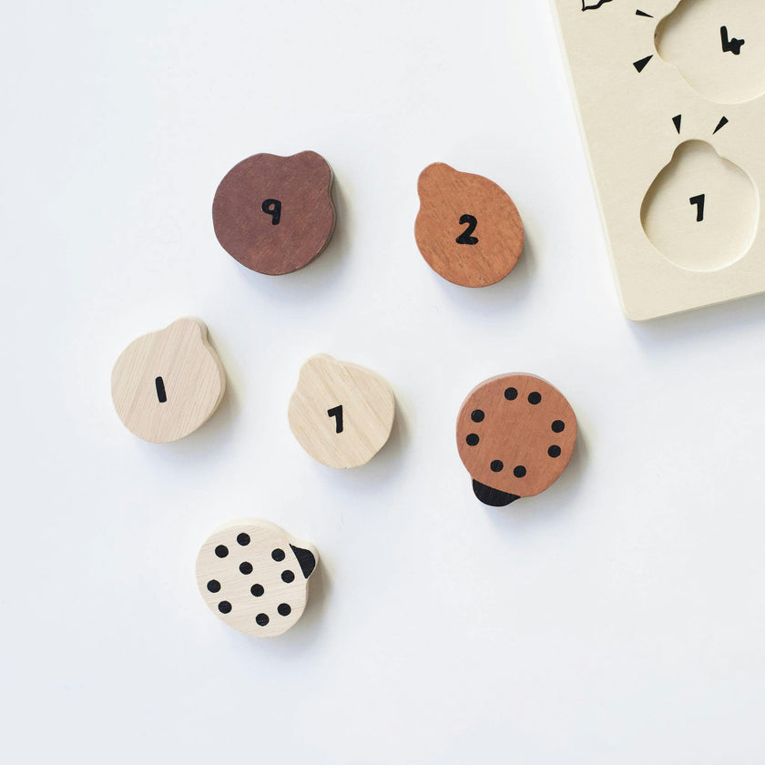 WOODEN TRAY PUZZLE - COUNT TO 10 LADYBUGS
