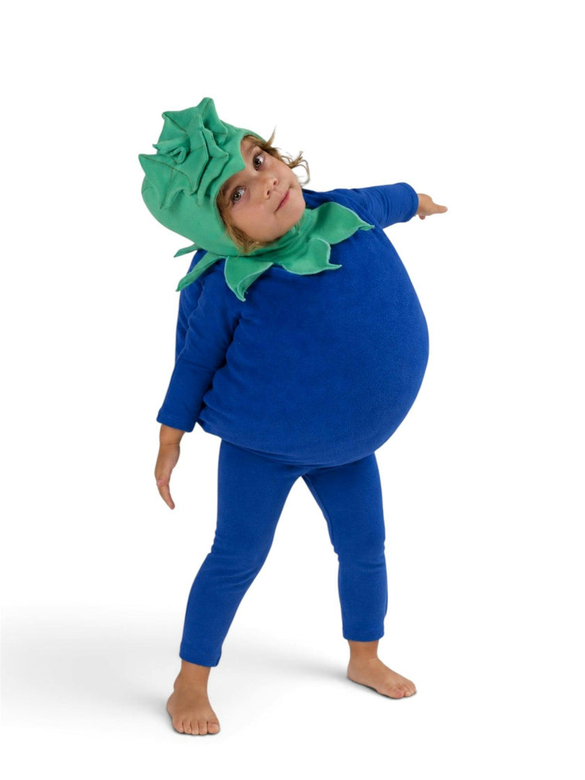 Baby Blueberry Halloween Costume