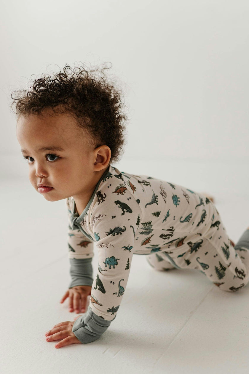 Long Sleeve Zip Romper in Dino Land