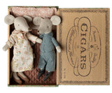 Grandma and grandpa mice in cigarbox