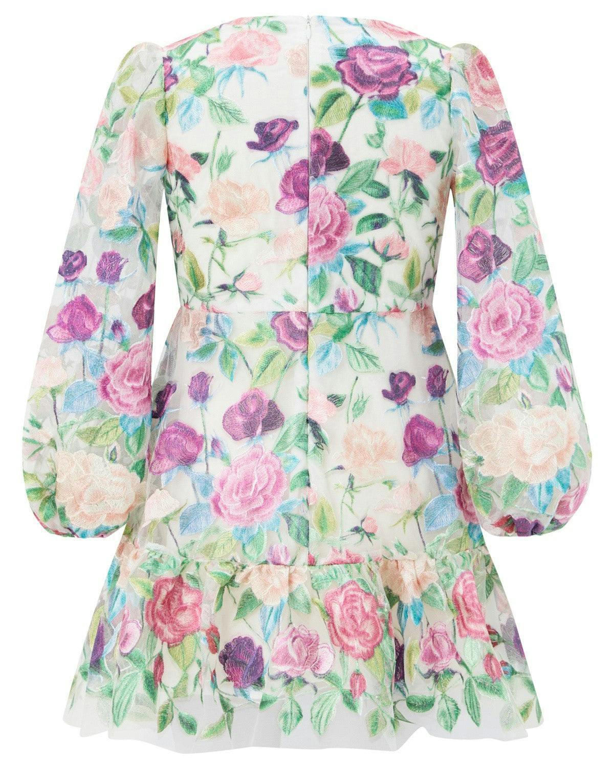 Rachelle Embroidered Mini Dress