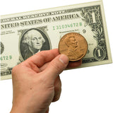 Big Money™ 3-D Magnetic Coins and Bills
